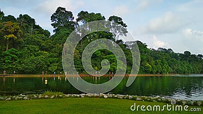 MacRitchie reservoir park Editorial Stock Photo