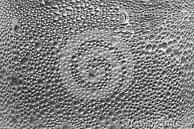 Macro of abstract water drops on background texture. Stock Photo