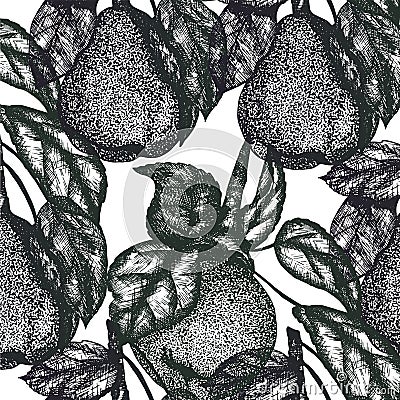 Macro Apple Fruit seamless pattern Vector Illustration