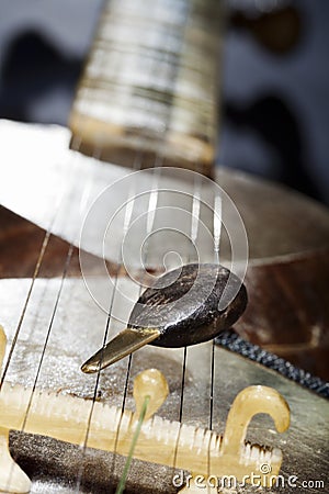 Tar Plectrum & Bridge Stock Photo