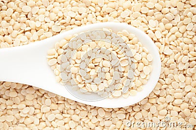 Macro Close-up of Organic split polished white urad dal Vigna mungo on a white ceramic soup spoon. Stock Photo