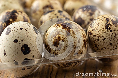 Macro close-up of quail eggs in transparent plastic egg cup, selective focus, on wooden table Stock Photo