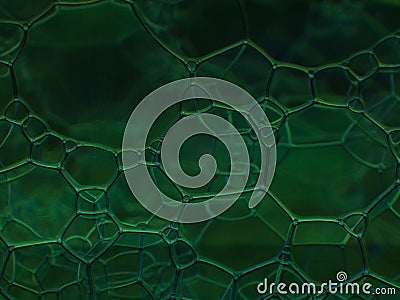 Macro close up of soap bubbles look like scienctific image of cell and cell membrane. dark green Stock Photo