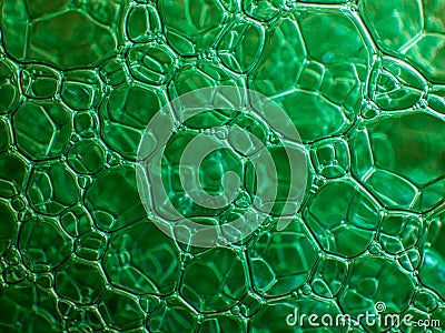 Macro close up of soap bubbles look like scienctific image of cell and cell membrane. Stock Photo