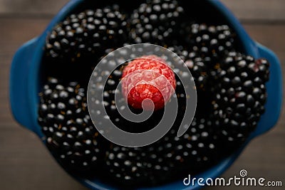 Macro closeup of one raspberry in a ceramic bowl filled with blackberries Stock Photo