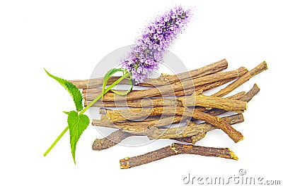 Purple pink blue flower liquorice roots sticks Agastache garden herb licorice liquorice isolated on white Stock Photo