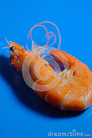 Macro Closeup Whole Shrimp Stock Photo