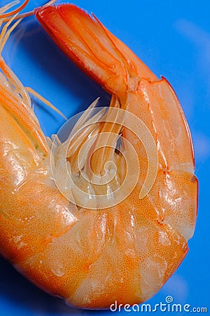 Macro Closeup Whole Shrimp Stock Photo