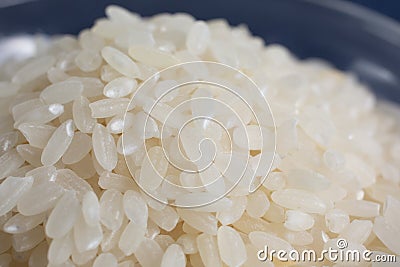 Macro cu short rice Stock Photo