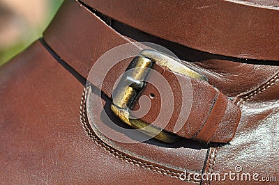 Buckle Stock Photo