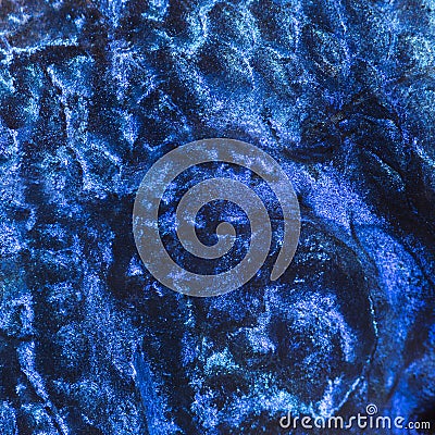 Macro of an Electric Blue Hap skin Stock Photo