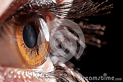 Macro eye Stock Photo