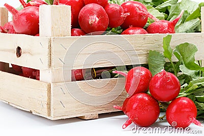 Macro of fresh red radish in crate Stock Photo