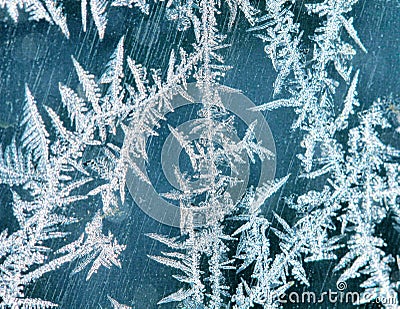 Macro Hoarfrost Stock Photo