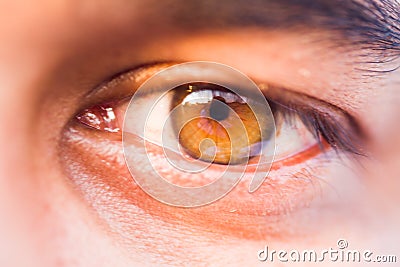 Macro of a human eye Stock Photo