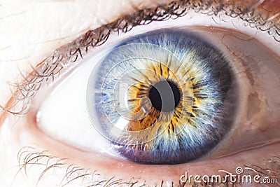 Macro Human Eye Multicolored Stock Photo