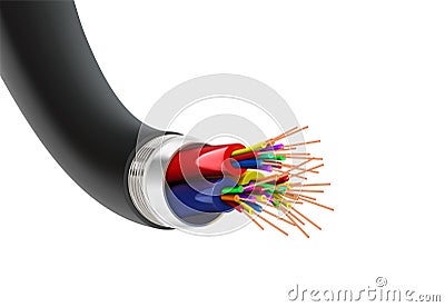 Macro image of a cable section on a white background Cartoon Illustration