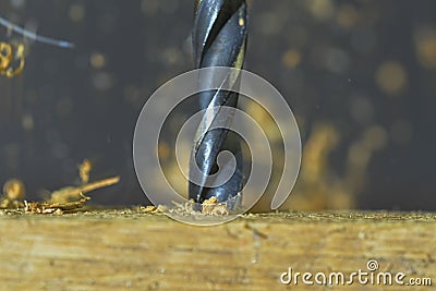 Macro image of the drill bit. Rotating drill bit and flying wood chips. Concept for woodworkers, craftsmen, DIYers Stock Photo