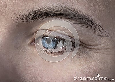Macro image human blue eye man detail shot - Bilder Stock Photo