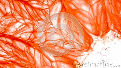 Macro photo of orange pulp structure. Pulp and juice of grapefruit over white background. Abstract background of exotic Stock Photo