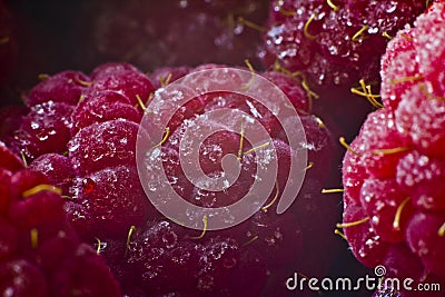 Macro juicy red raspberries Stock Photo