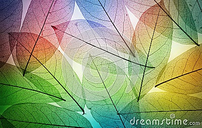 Macro leaves background texture. Stock Photo