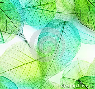 Macro leaves seamless texture Stock Photo