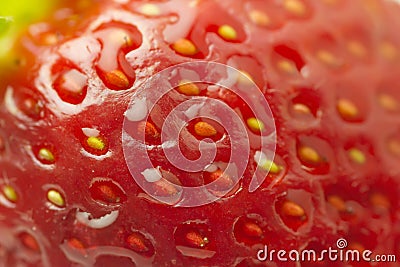Macro organic strawberry Stock Photo