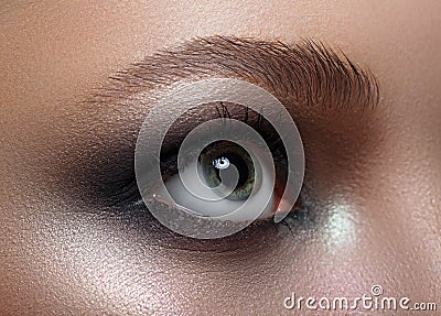 Macro. Perfect makeup and eyebrows. Beautiful gray eyes Stock Photo