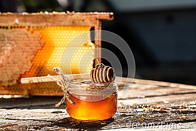 Macro photo of a bee hive on a honeycomb. Bees produce fresh, healthy, honey. Honey background. Beekeeping concept. Long banner Stock Photo