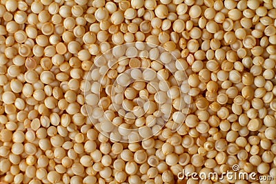 Macro photo couscous. Yellow grains of wheat grits, cuscus, semolina, universal porridge for breakfast Stock Photo
