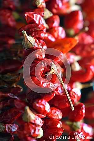 Dried hanging red chilli peppers Stock Photo