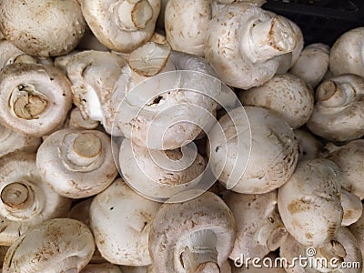 Macro photo nature food mushrooms champignon. Texture white mushrooms champignon Stock Photo