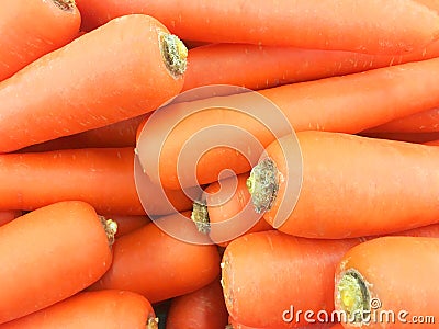 Macro Photo spring food vegetable carrot. Texture background of fresh large orange carrots. Product Image Vegetable Root Carrot Stock Photo