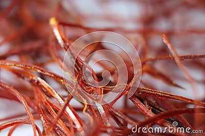 Macro photograph view of saffron with selective focus Stock Photo