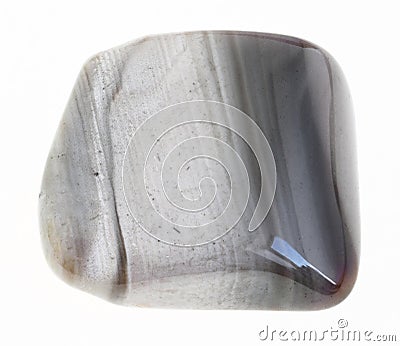 polished gray flint stone on white Stock Photo