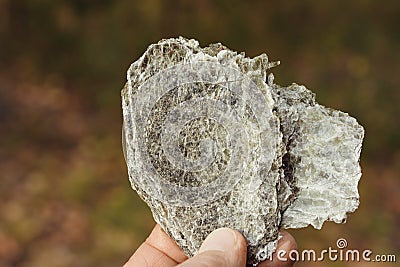 Macro photography of unprocessed pieces of mica minerals in a natural deposit Stock Photo