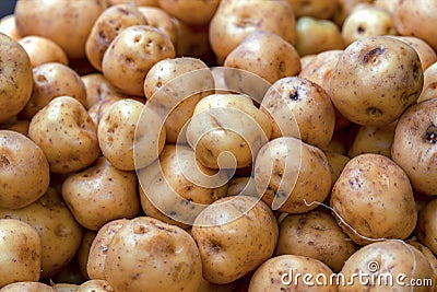 Macro photography of a pile of yellow potatoes Stock Photo