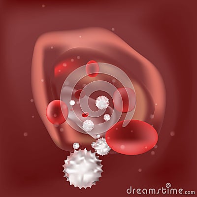 Macro of red blood cells white blood cells flowing through veins. Vector Illustration