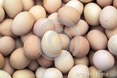 Macro shoot of brown / white eggs at hay nest in chicken farm Stock Photo