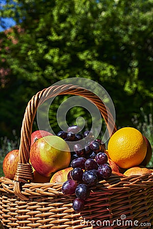 Macro shot of a basket of various fruits in the sun Stock Photo