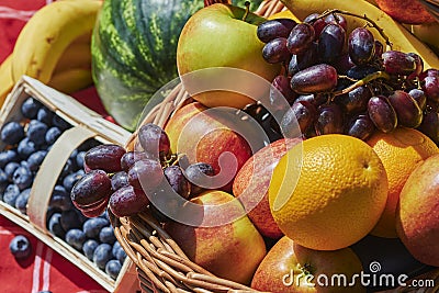 Macro shot of a basket of various fruits in the sun Stock Photo
