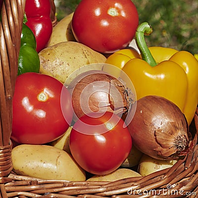 Macro shot of a basket of various vegetables in the sun Stock Photo