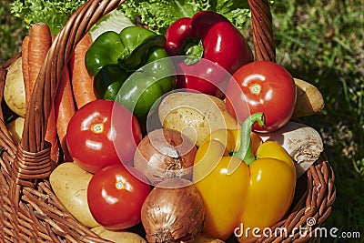 Macro shot of a basket of various vegetables in the sun Stock Photo