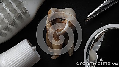 Macro shot of a decayed teeth till root after extraction of dentist Stock Photo