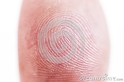 Macro shot fingerprint Stock Photo