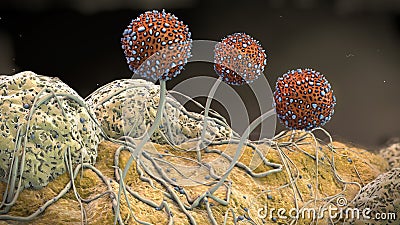 Macro shot of growing mildew Cartoon Illustration