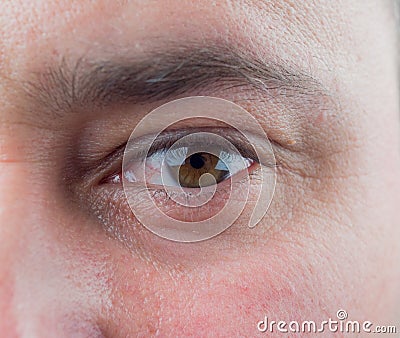 Macro shot of man& x27;s brown eye with visible blood vessels Stock Photo