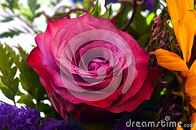 Pink rose Rosaceae in the middle of a bouquet of colourful flowers Stock Photo