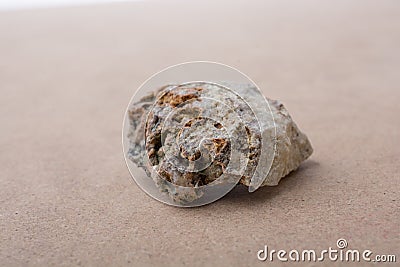 Macro shot of a small porous rock on a brown surface during daylight Stock Photo